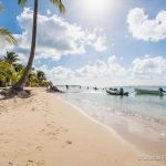 gite - INDIGO - SAINTE ANNE - Guadeloupe