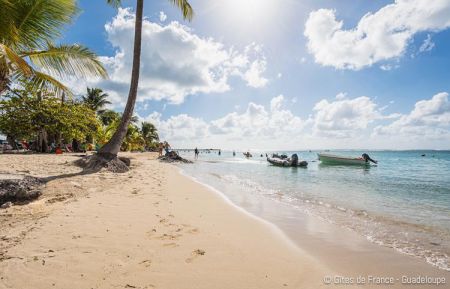 G&icirc;te n&deg;1526 Sainte-Anne - Guadeloupe - photo