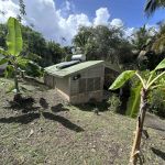 gite - L'ORCHID&Eacute; - SAINTE ANNE - Guadeloupe