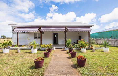 G&icirc;te n&deg;3555 Port-Louis - Guadeloupe - photo
