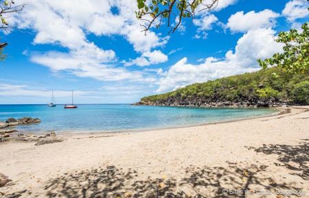 Gîte n°6541 Pointe-Noire - Guadeloupe - photo