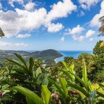 gite - LE STUDIO - DESHAIES - Guadeloupe