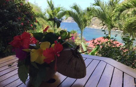 G&icirc;te n&deg;9000 Terre-de-Haut - Guadeloupe - Terrasse 