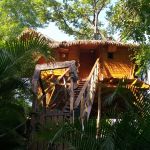 Cabane dans les arbres - Habitation Getz - VIEUX HABITANTS - Guadeloupe