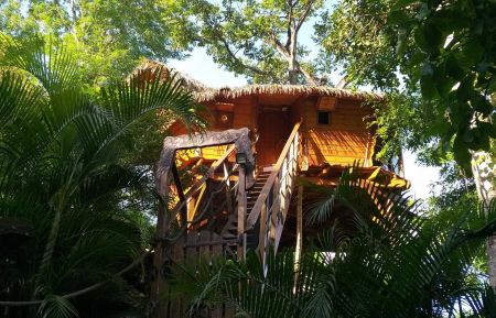 Cabane dans les arbres6480 Vieux-Habitants - Guadeloupe - photo